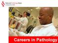 Careers in Pathology PowerPoint PPT Presentation
