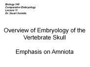 Biology%20340