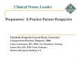 Clinical Nurse Leader PowerPoint PPT Presentation