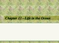 Chapter 13 - Life in the Ocean PowerPoint PPT Presentation