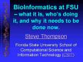 BioInformatics at FSU what it is, whos doing it, and why it needs to be done now' PowerPoint PPT Presentation