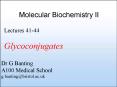 Molecular Biochemistry II PowerPoint PPT Presentation