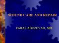 WOUND CARE AND REPAIR PowerPoint PPT Presentation