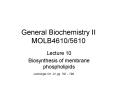 General Biochemistry II MOLB46105610 PowerPoint PPT Presentation