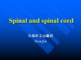 Spinal and spinal cord PowerPoint PPT Presentation