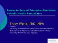 Access to Second Trimester Abortions: A Public Health Perspective PowerPoint PPT Presentation