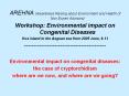AREHNA (Awareness Raising about Environment and Health of Non Expert Advisors) PowerPoint PPT Presentation