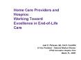 Home Care Providers and Hospice: Working Toward Excellence in EndofLife Care PowerPoint PPT Presentation