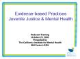 Evidencebased Practices Juvenile Justice PowerPoint PPT Presentation