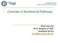 Overview of Biochemical Pathways PowerPoint PPT Presentation