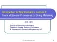 Introduction to Bioinformatics: Lecture II From Molecular Processes to String Matching PowerPoint PPT Presentation