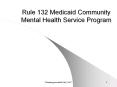Rule 132 Medicaid Community Mental Health Service Program PowerPoint PPT Presentation
