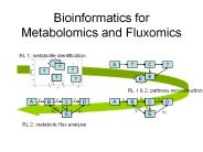 Bioinformatics%20for%20Metabolomics%20and%20Fluxomics