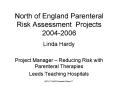 North of England Parenteral Risk Assessment Projects 20042006 PowerPoint PPT Presentation