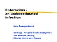 Enterovirus an underestimated infection PowerPoint PPT Presentation