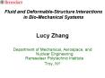 Fluid and DeformableStructure Interactions in BioMechanical Systems PowerPoint PPT Presentation
