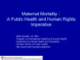 Maternal Mortality : A Public Health and Human Rights Imperative PowerPoint PPT Presentation