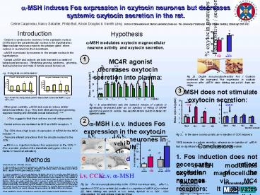 celine caquineau, nancy sabatier, philip bull, alison dougl