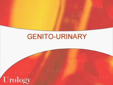 GENITOURINARY