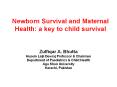 Newborn%20Survival%20and%20Maternal%20Health:%20a%20key%20to%20child%20survival PowerPoint PPT Presentation