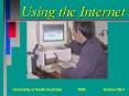 Using the Internet PowerPoint PPT Presentation