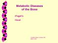 Metabolic Diseases of the Bone PowerPoint PPT Presentation