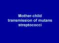 Motherchild transmission of mutans streptococci PowerPoint PPT Presentation