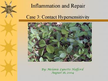 Inflammation and Repair