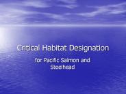 Critical%20Habitat%20Designation