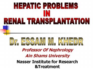 Professor Of Nephrology