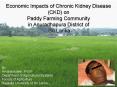 Economic Impacts of Chronic Kidney Disease (CKD) on PowerPoint PPT Presentation