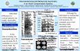Neuroanatomical and Behavioral Asymmetry in an Adult Compensated Dyslexic Christine Chiarello1, Linda Lombardino2, Natalie Kacinik1, Ronald Otto3 PowerPoint PPT Presentation