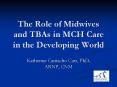 The Role of Midwives and TBAs in MCH Care in the Developing World PowerPoint PPT Presentation