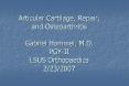 Articular Cartilage, Repair, and Osteoarthritis Gabriel Hommel, M'D' PGYII LSUS Orthopaedics 2232007 PowerPoint PPT Presentation