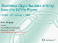 Business Opportunities arising from the White Paper PowerPoint PPT Presentation