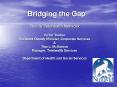 Bridging the Gap PowerPoint PPT Presentation