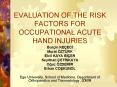 EVALUATION OF THE RISK FACTORS FOR OCCUPATIONAL ACUTE HAND INJURIES PowerPoint PPT Presentation
