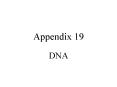 Appendix 19 PowerPoint PPT Presentation