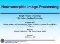Neuromorphic Image Processing PowerPoint PPT Presentation