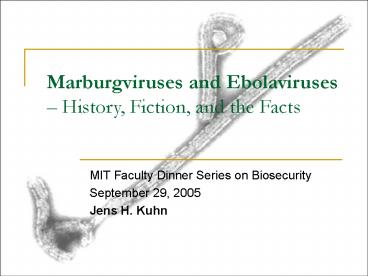 Marburgviruses and Ebolaviruses History, Fiction, and the Facts