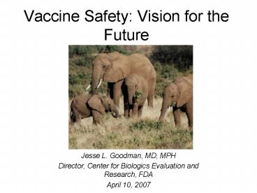 Vaccine Safety: Vision for the Future