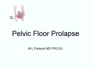 Pelvic Floor Prolapse