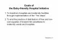 Goals of the Babyfriendly Hospital Initiative PowerPoint PPT Presentation