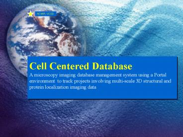 Cell Centered Database A microscopy imaging database management system ...