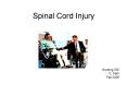 Spinal Cord Injury PowerPoint PPT Presentation