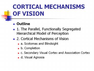 CORTICAL MECHANISMS OF VISION