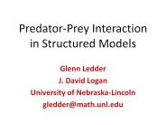 Predator-Prey Interaction in Structured Models