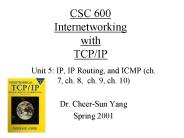 CSC 600 Internetworking with TCP/IP