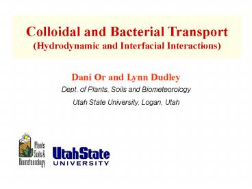 Dani Or and Lynn Dudley