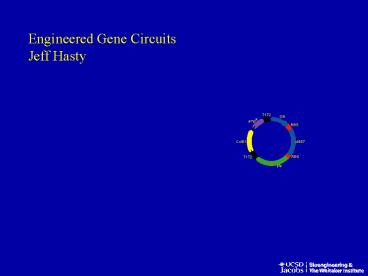 Synthetic gene networks